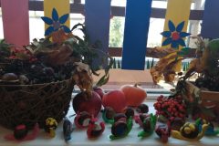 IMG_20201020_100144