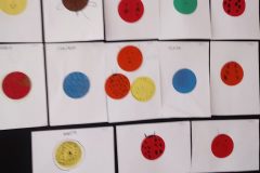 242713794_219108963615057_4665147698414254064_n