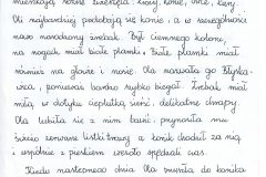 Obraz-13
