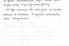 Obraz-14
