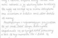 Obraz-4